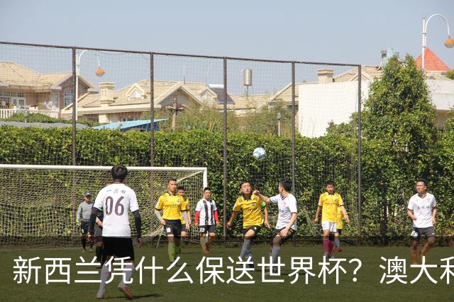 新西兰凭什么保送世界杯？澳大利亚凭什么还留亚洲？
